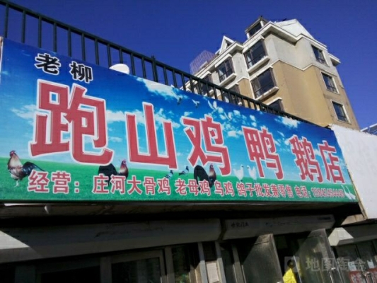 赤峰活雞鴨鵝批發(fā)電話號碼-第1張圖片