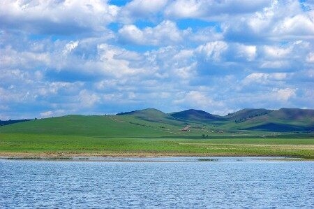 赤峰市新月王朝社區(qū)電話號(hào)碼-第1張圖片