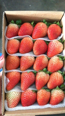 赤峰真金板批發(fā)商電話號碼-第1張圖片