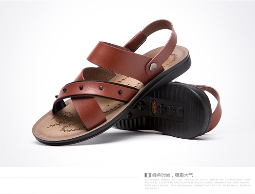 赤峰富貴鳥(niǎo)-第1張圖片