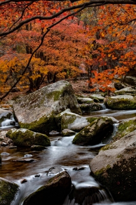 赤峰老八水果店電話號(hào)碼-第1張圖片