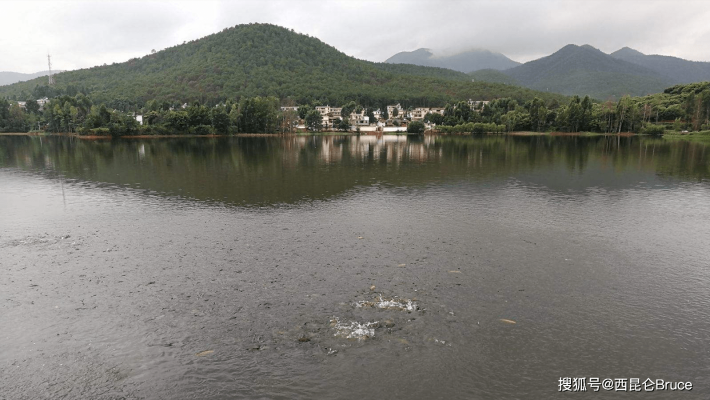 赤峰哪里有魚群賣呀電話號(hào)-第1張圖片