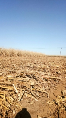 赤峰市木頭溝村電話號(hào)碼-第1張圖片