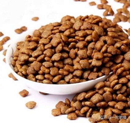 赤峰繁育貓舍地址電話查詢號碼-第1張圖片