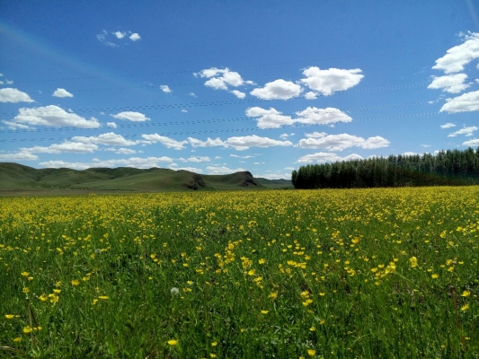 赤峰左旗浮云酒店電話號(hào)碼多少-第1張圖片