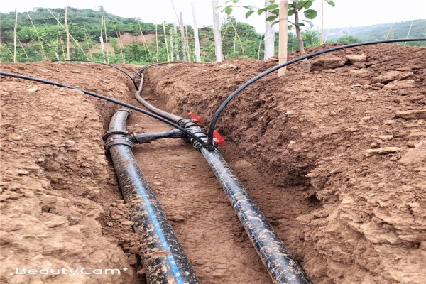 赤峰滴灌管廠家聯(lián)系電話號(hào)碼-第1張圖片