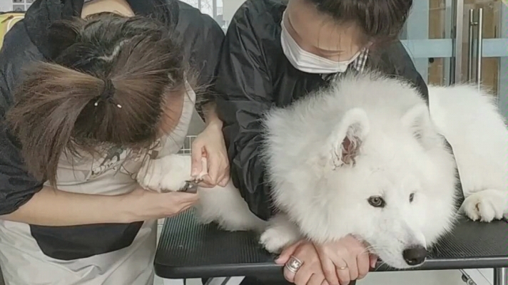 赤峰美容師培訓(xùn)學(xué)校電話號(hào)碼-第1張圖片