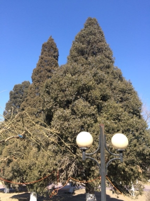 赤峰園林路同仁堂電話號(hào)碼-第1張圖片