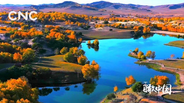 赤峰菁華托管中心電話號(hào)碼查詢-第1張圖片