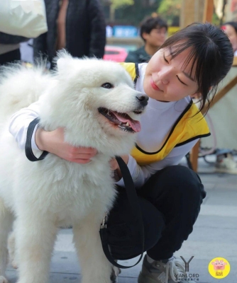 赤峰萌寵動物醫(yī)院電話號碼-第1張圖片