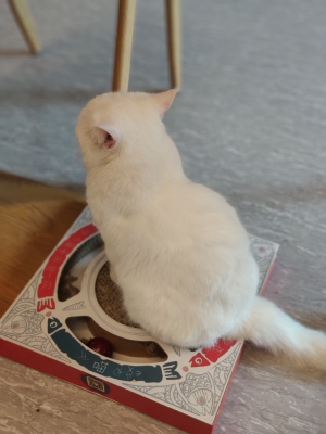 赤峰萬達(dá)動(dòng)物館電話號碼-第1張圖片