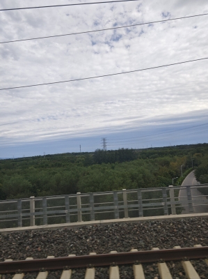 赤峰老陸熟食店電話號(hào)碼-第1張圖片