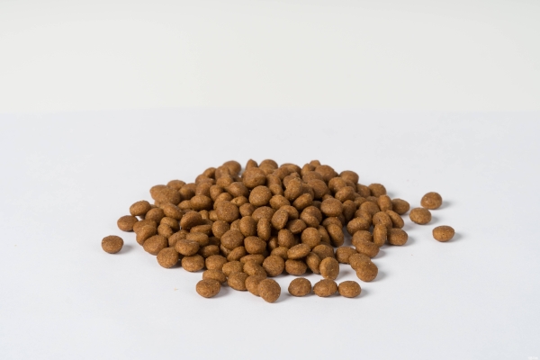 內(nèi)蒙赤峰狗糧批發(fā)電話號碼-第1張圖片