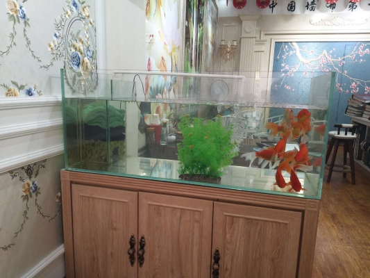 赤峰美家美戶墻布電話號碼-第1張圖片