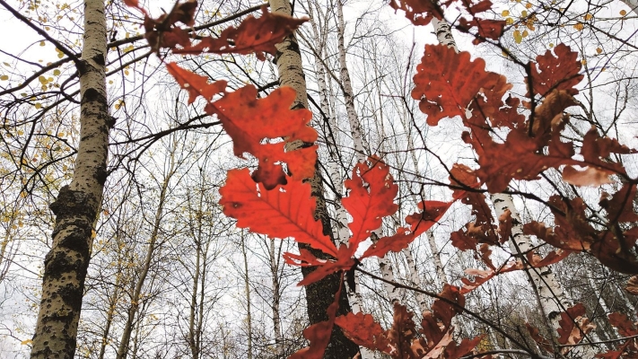 赤峰乾御興銷售處電話號(hào)碼-第1張圖片