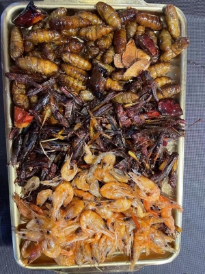 赤峰賣(mài)炸蜂蛹的店鋪電話號(hào)碼-第1張圖片