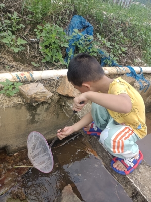 赤峰兒童撈魚電話多少號碼-第1張圖片