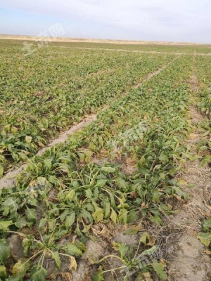 赤峰周邊土地承包公司電話號碼-第1張圖片