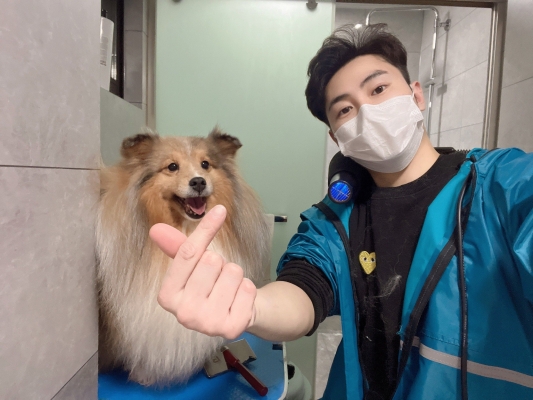 赤峰寵物醫(yī)生上門電話號碼是多少-第1張圖片