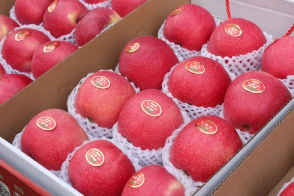 赤峰雨潤市場批發(fā)水果電話號碼-第1張圖片