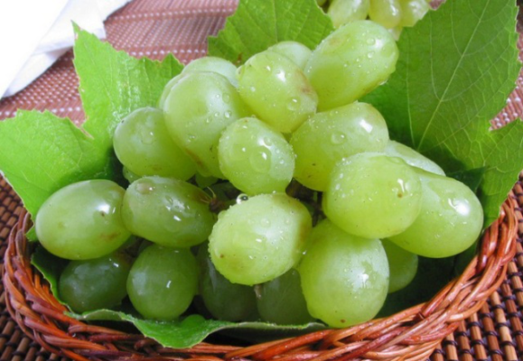 赤峰膨大劑加盟店電話地址-第1張圖片