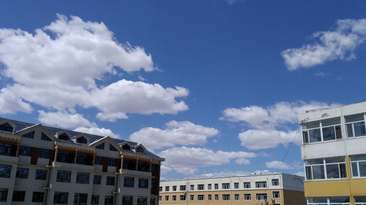 內(nèi)蒙古赤峰收養(yǎng)中心電話號碼-第1張圖片