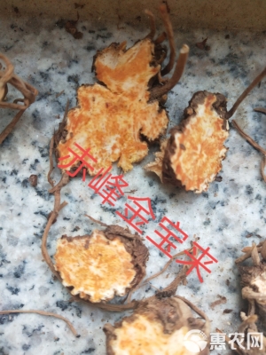 赤峰收購蒼術(shù)苗電話號碼是多少-第1張圖片