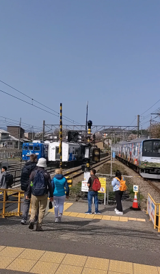 赤峰去東京航班查詢電話號(hào)碼-第1張圖片