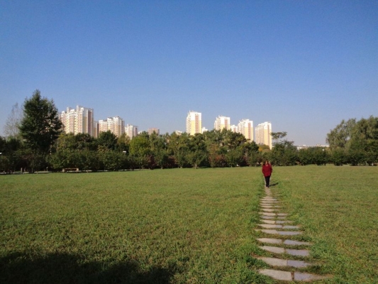 赤峰新城賣花電話多少啊-第1張圖片