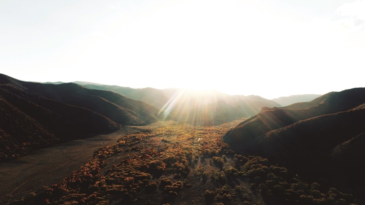 赤峰金嘉旅館電話號多少號-第1張圖片