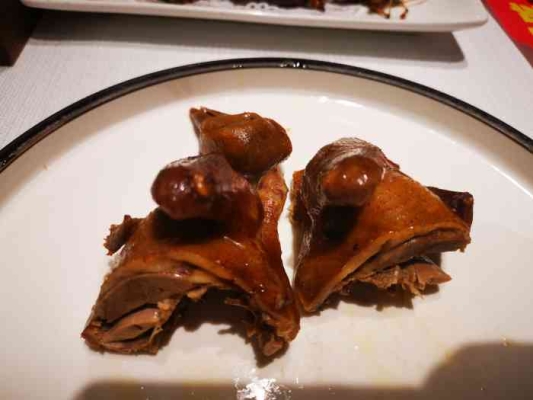 赤峰黃泥鴿子養(yǎng)殖基地電話號(hào)碼-第1張圖片