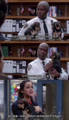 赤峰狗狗探案隊(duì)電話多少號(hào)-第1張圖片