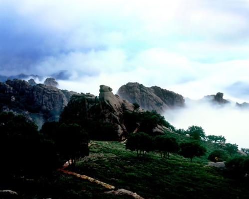 赤峰動植物公園電話多少號-第1張圖片