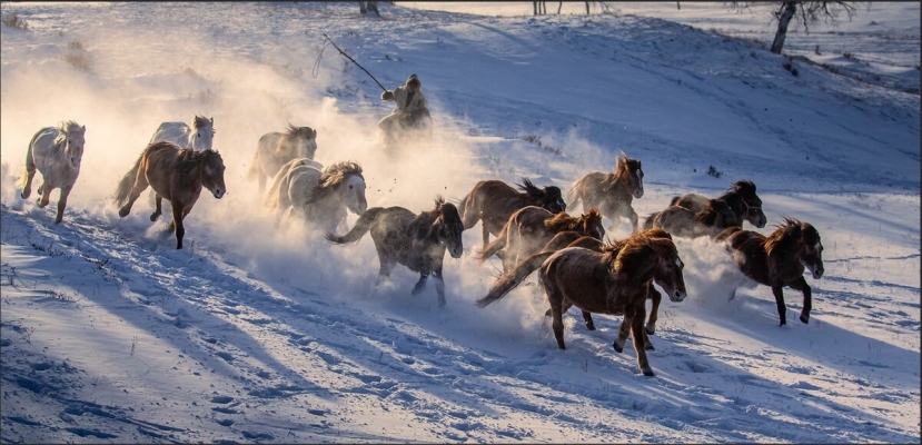 赤峰馬勒經(jīng)銷(xiāo)商地址電話(huà)號(hào)碼-第1張圖片