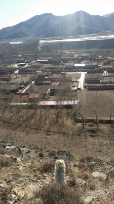 赤峰蒼營子道口社區(qū)電話號碼-第1張圖片