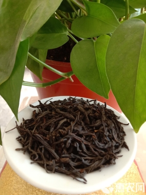 赤峰松香批發(fā)電話是多少號(hào)-第1張圖片