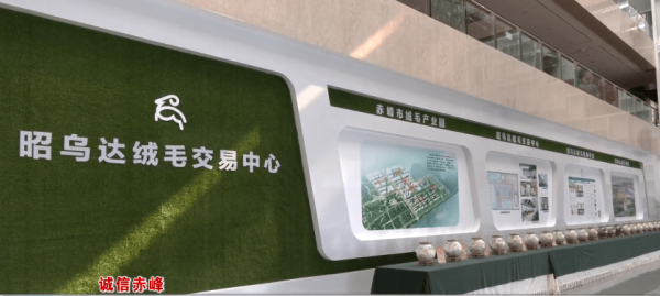 赤峰互聯(lián)網(wǎng)推廣公司電話號碼-第1張圖片