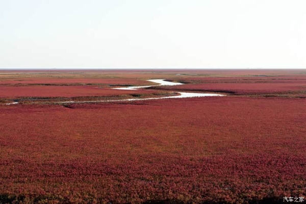 赤峰到大連客車的電話號(hào)碼是多少-第1張圖片