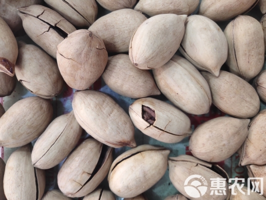 赤峰賣干果夜市地址電話號碼-第1張圖片