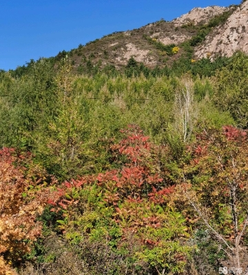 赤峰紅廟子打獵電話多少號(hào)-第1張圖片