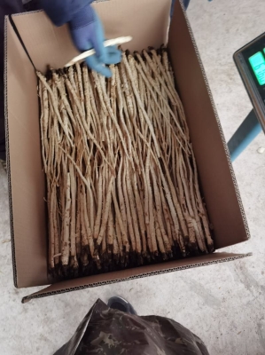 赤峰菜油批發(fā)電話號碼多少-第1張圖片