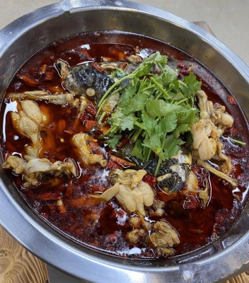 赤峰西營(yíng)地?zé)镜觌娫捥?hào)碼-第1張圖片