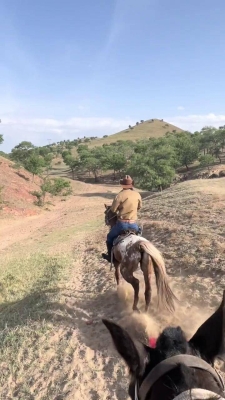 赤峰紅山牛仔店電話號(hào)碼多少-第1張圖片