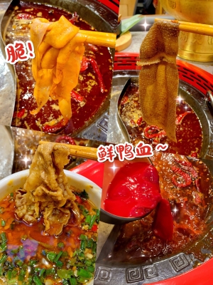 赤峰爆漿麻花電話(huà)號(hào)碼查詢(xún)-第1張圖片