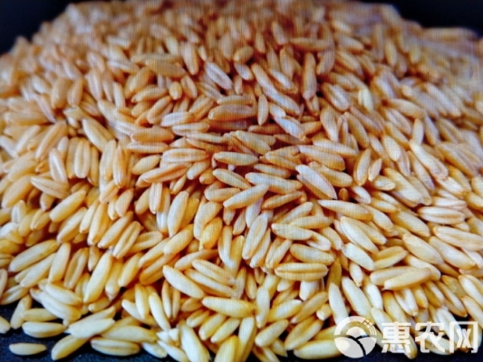 赤峰大麥批發(fā)電話是多少號-第1張圖片