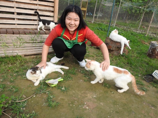 赤峰溜浪貓基地電話號碼-第1張圖片