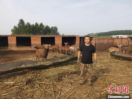 赤峰到法庫客車時刻表-第1張圖片