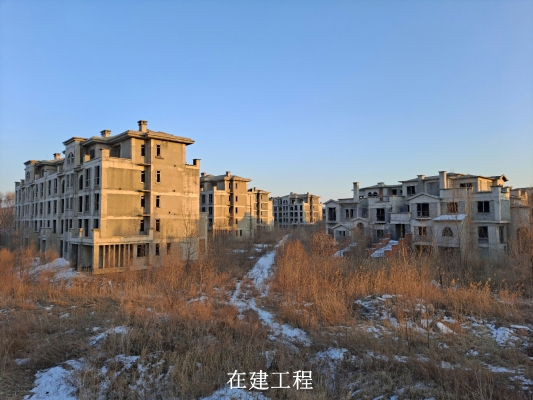 赤峰維利斯房地產(chǎn)開(kāi)發(fā)有限公司-第1張圖片