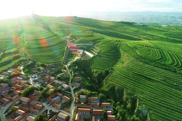 赤峰種植農(nóng)場地址電話號碼-第1張圖片