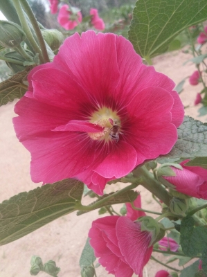 赤峰寧城鐵西街道電話是多少-第1張圖片